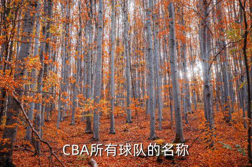 CBA所有球隊(duì)的名稱(chēng)