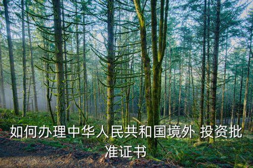 如何辦理中華人民共和國境外 投資批準(zhǔn)證書