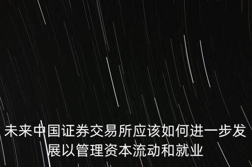 未來中國證券交易所應(yīng)該如何進一步發(fā)展以管理資本流動和就業(yè)