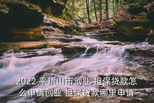 2022 平頂山市創(chuàng)業(yè) 擔(dān)保貸款怎么申請創(chuàng)業(yè) 擔(dān)保貸款哪里申請