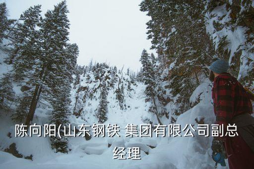 陳向陽(山東鋼鐵 集團有限公司副總經(jīng)理