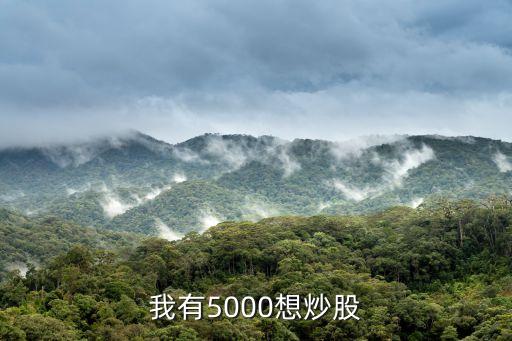 我有5000想炒股