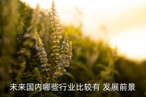 未來國內(nèi)哪些行業(yè)比較有 發(fā)展前景