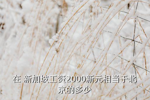 在 新加坡工資2000新元相當于北京的多少