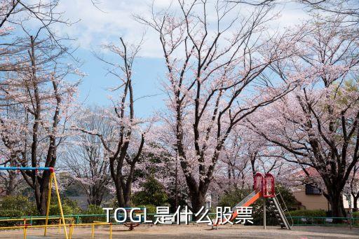 TOGL是什么股票