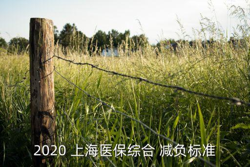 2020 上海醫(yī)保綜合 減負(fù)標(biāo)準(zhǔn)