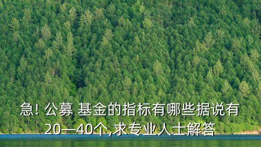 急! 公募 基金的指標(biāo)有哪些據(jù)說(shuō)有20—40個(gè),求專業(yè)人士解答