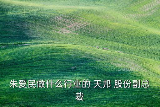 朱愛民做什么行業(yè)的 天邦 股份副總裁