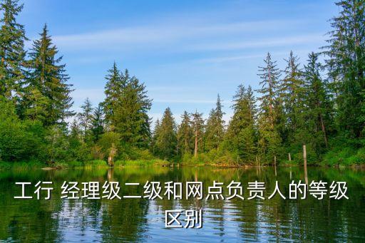 工行 經(jīng)理級二級和網(wǎng)點(diǎn)負(fù)責(zé)人的等級區(qū)別