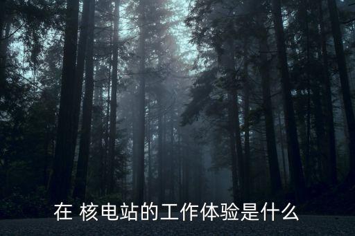 核電站投資成本,一個(gè)核電站投資成本