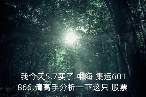 中海集運股票何時復牌,6001866中海集運股票