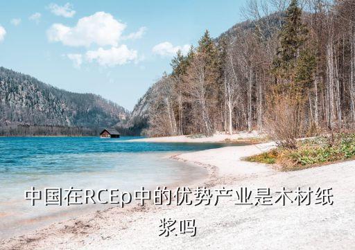 中國(guó)在RCEp中的優(yōu)勢(shì)產(chǎn)業(yè)是木材紙漿嗎