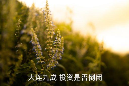  大連九成 投資是否倒閉