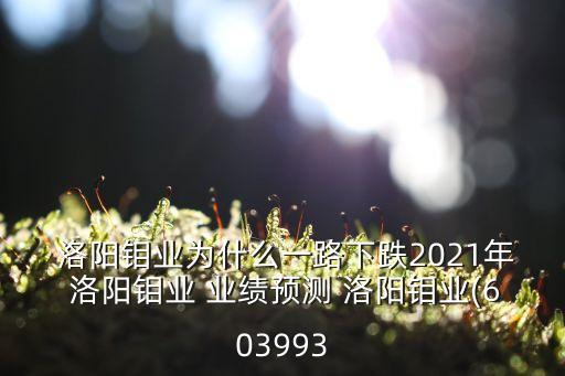  洛陽鉬業(yè)為什么一路下跌2021年 洛陽鉬業(yè) 業(yè)績預(yù)測 洛陽鉬業(yè)(603993