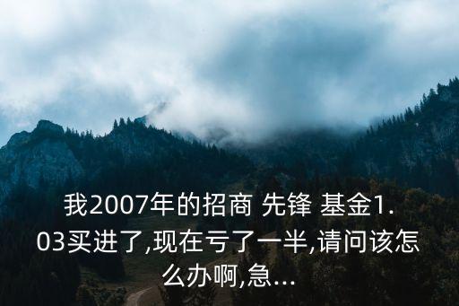 我2007年的招商 先鋒 基金1.03買進了,現(xiàn)在虧了一半,請問該怎么辦啊,急...