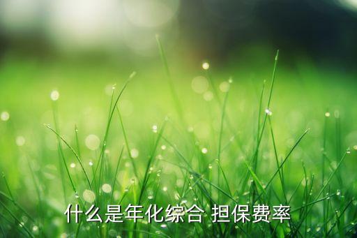 什么是年化綜合 擔(dān)保費(fèi)率