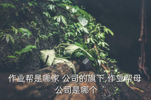 作業(yè)幫是哪家 公司的旗下,作業(yè)幫母 公司是哪個