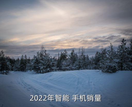 中國手機市場規(guī)模,2022年中國手機市場規(guī)模