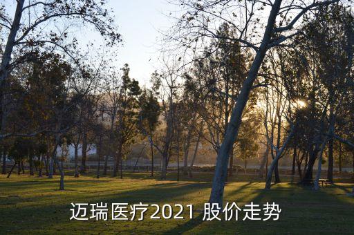 邁瑞醫(yī)療2021 股價(jià)走勢(shì)