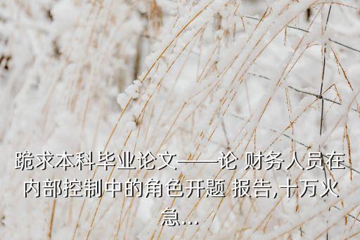 跪求本科畢業(yè)論文——論 財(cái)務(wù)人員在內(nèi)部控制中的角色開題 報(bào)告,十萬火急...