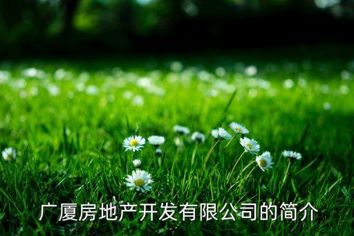  廣廈房地產(chǎn)開發(fā)有限公司的簡介