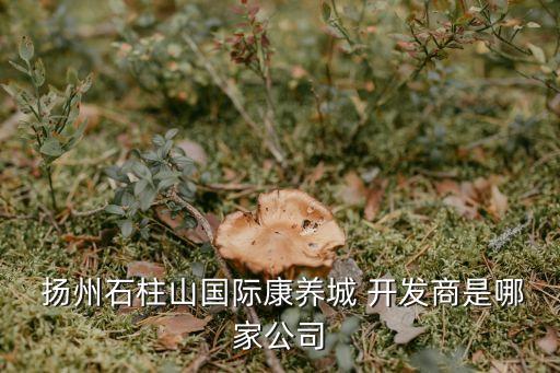  揚州石柱山國際康養(yǎng)城 開發(fā)商是哪家公司