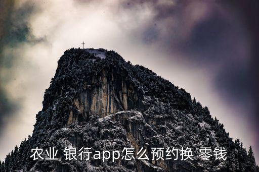 農業(yè) 銀行app怎么預約換 零錢