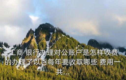  工商 銀行辦理對(duì)公賬戶是怎樣收費(fèi)的辦理了以后每年要收取哪些 費(fèi)用一共...