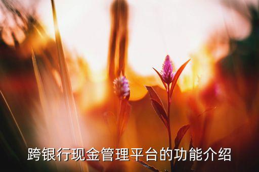 跨銀行現(xiàn)金管理平臺的功能介紹