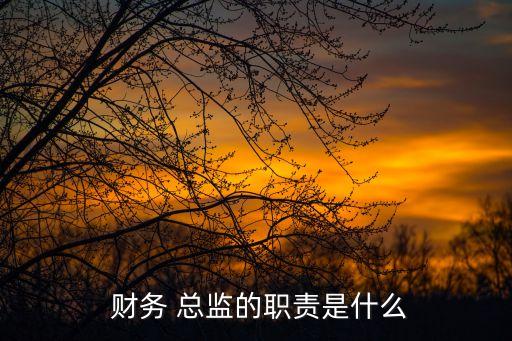  財務 總監(jiān)的職責是什么