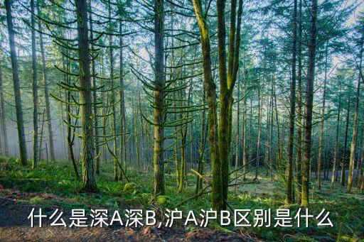 上市公司簡(jiǎn)稱的字母a