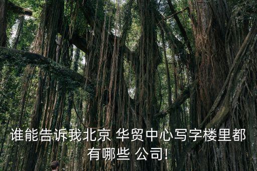 誰能告訴我北京 華貿(mào)中心寫字樓里都有哪些 公司!