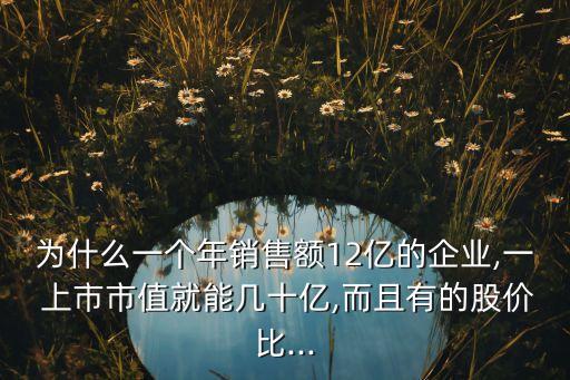 為什么一個年銷售額12億的企業(yè),一 上市市值就能幾十億,而且有的股價比...