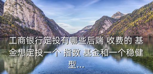 工商銀行定投有哪些后端 收費的 基金想定投一個 指數(shù) 基金和一個穩(wěn)健型...