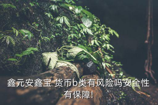 鑫元安鑫寶 貨幣b類(lèi)有風(fēng)險(xiǎn)嗎安全性有保障!