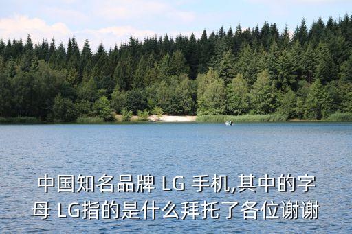 中國(guó)知名品牌 LG 手機(jī),其中的字母 LG指的是什么拜托了各位謝謝