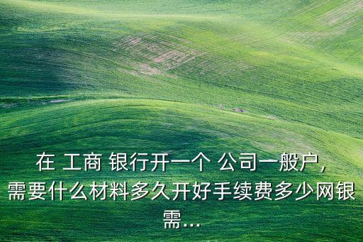 公司工商銀行開戶費(fèi)用,工商銀行開戶費(fèi)用一直不交