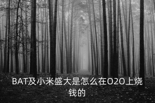 BAT及小米盛大是怎么在O2O上燒錢(qián)的