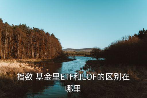 指數(shù) 基金里ETF和LOF的區(qū)別在哪里