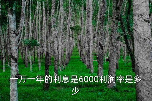 十萬一年的利息是6000利潤率是多少