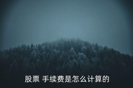  股票 手續(xù)費是怎么計算的