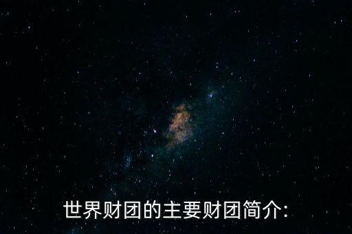 世界財團的主要財團簡介: