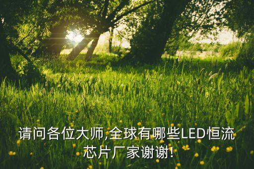 請問各位大師,全球有哪些LED恒流 芯片廠家謝謝!