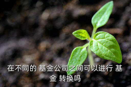 在不同的 基金公司之間可以進(jìn)行 基金 轉(zhuǎn)換嗎