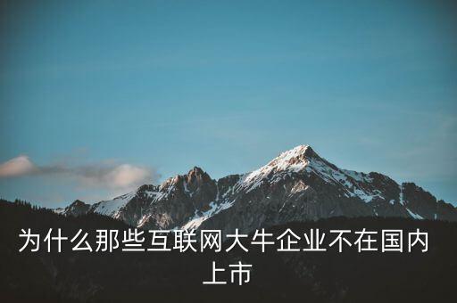 為什么那些互聯(lián)網(wǎng)大牛企業(yè)不在國內(nèi) 上市