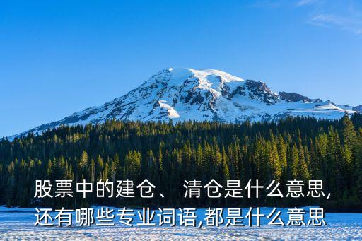  股票中的建倉、 清倉是什么意思,還有哪些專業(yè)詞語,都是什么意思