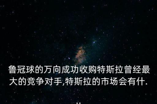  魯冠球的萬向成功收購特斯拉曾經(jīng)最大的競爭對手,特斯拉的市場會有什...