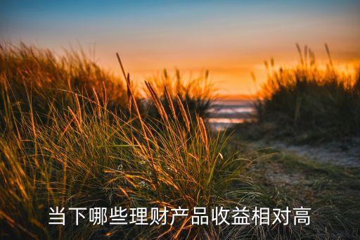 當(dāng)下哪些理財(cái)產(chǎn)品收益相對(duì)高