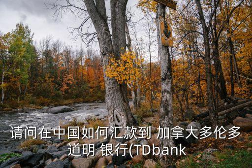 請問在中國如何匯款到 加拿大多倫多 道明 銀行(TDbank