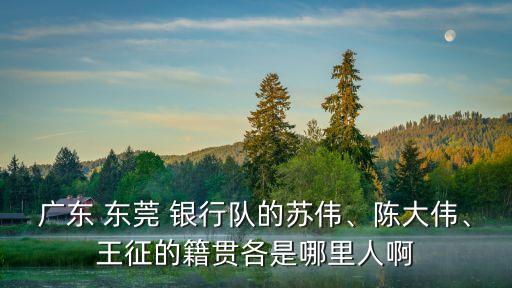 廣東 東莞 銀行隊(duì)的蘇偉、陳大偉、王征的籍貫各是哪里人啊